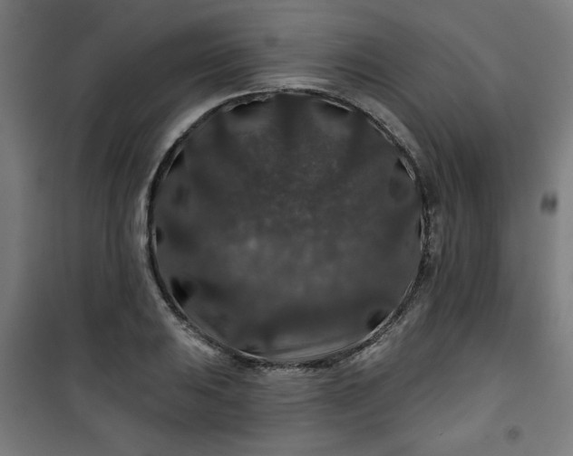 X0000100751031200807031331