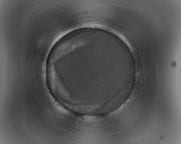 X0000100751032200807031331