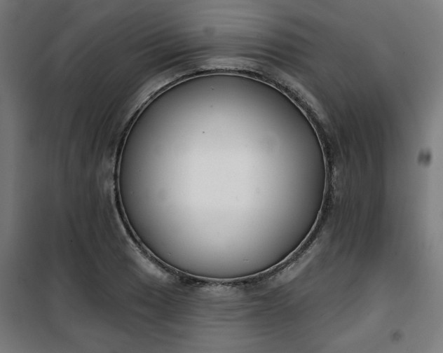 X0000100751033200807031331