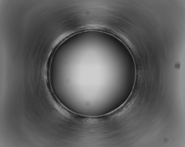 X0000100751034200807031331