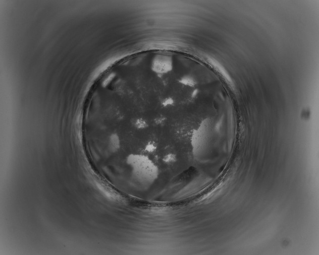 X0000100751035200807031331