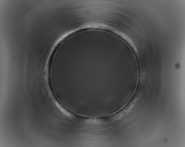 X0000100751037200807031331