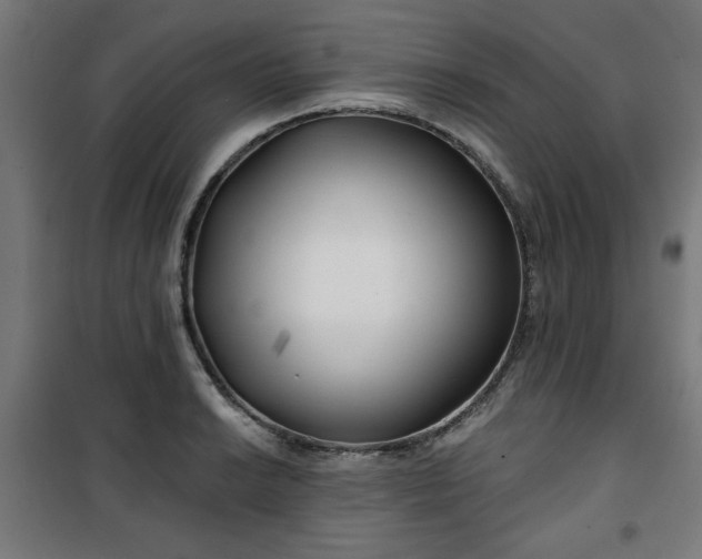 X0000100751038200807031331