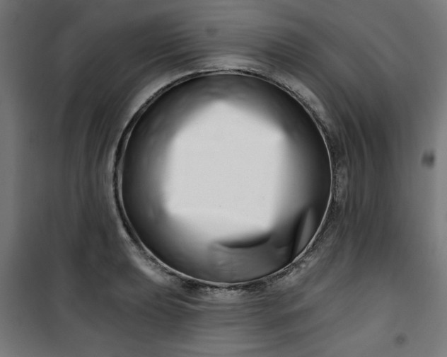 X0000100751039200807031331