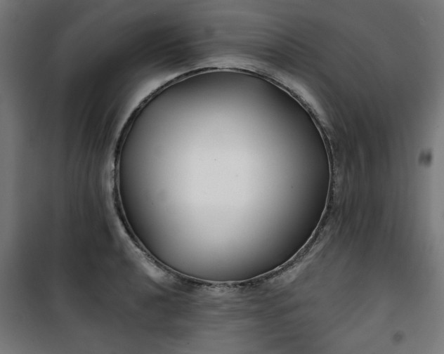 X0000100751040200807031331