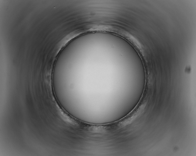 X0000100751041200807031331