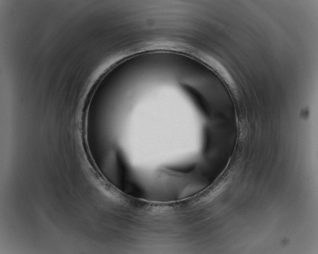 X0000100751043200807031331