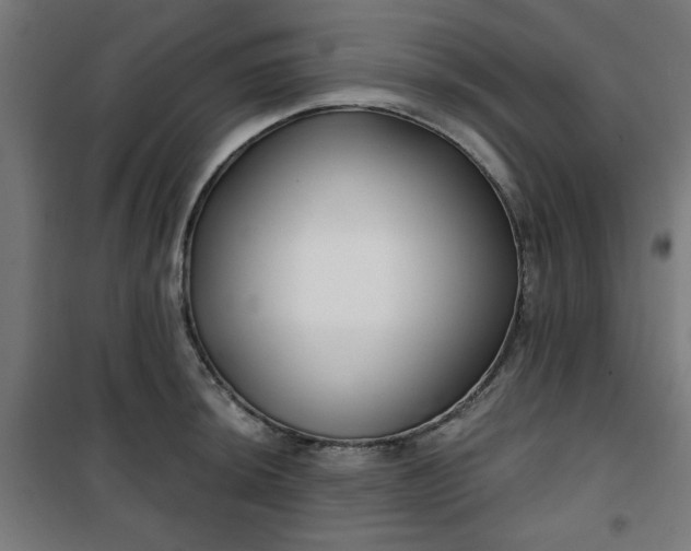 X0000100751044200807031331