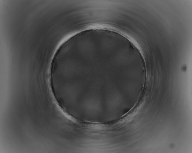 X0000100751045200807031331