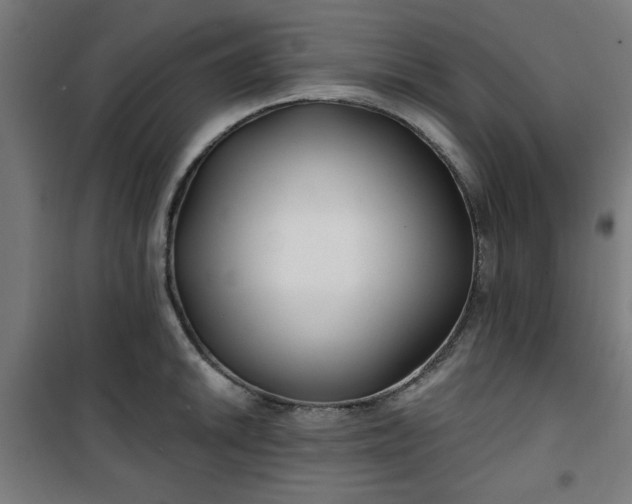 X0000100751046200807031331