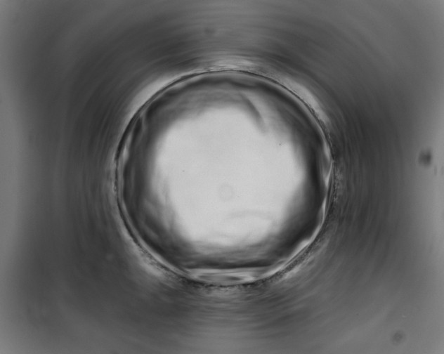 X0000100751047200807031331