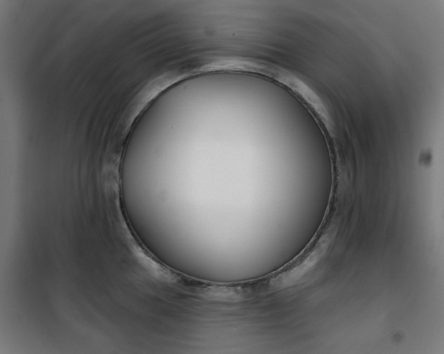 X0000100751049200807031331