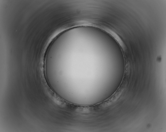 X0000100751051200807031331