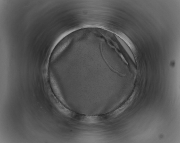 X0000100751052200807031331