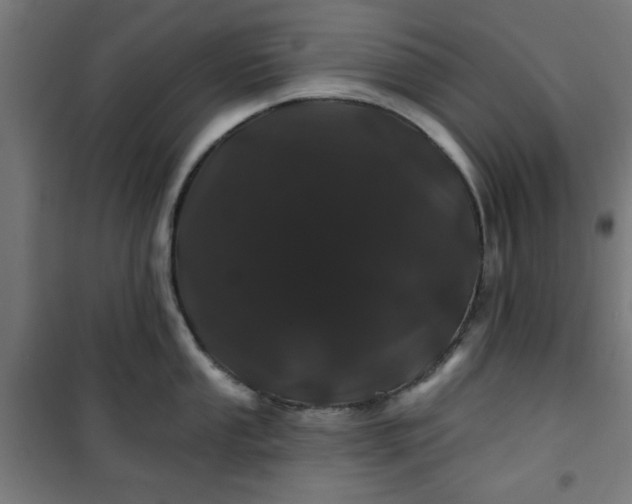 X0000100751053200807031331