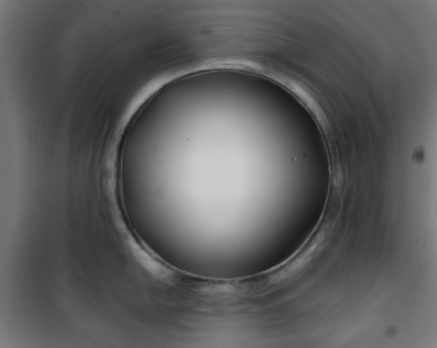 X0000100751054200807031331