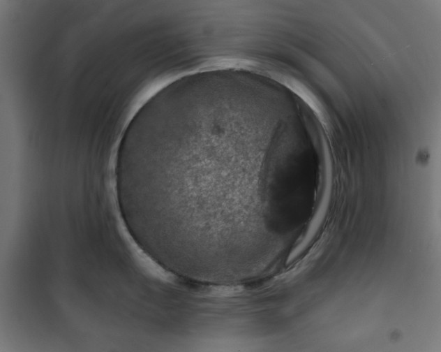 X0000100751055200807031331