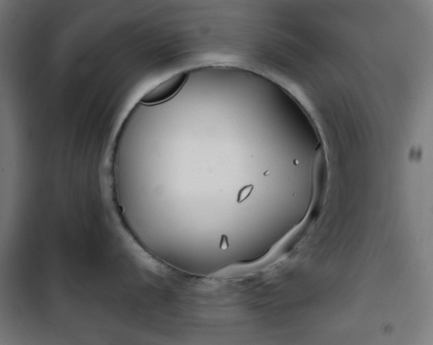 X0000100751056200807031331