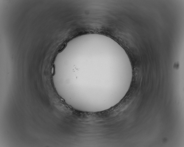 X0000100751057200807031331