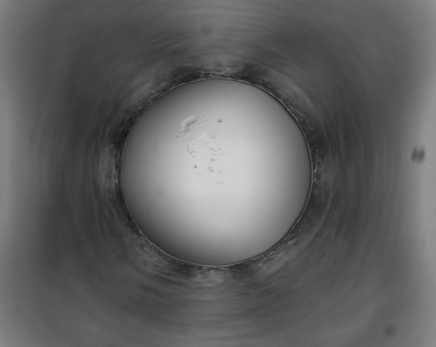 X0000100751058200807031331