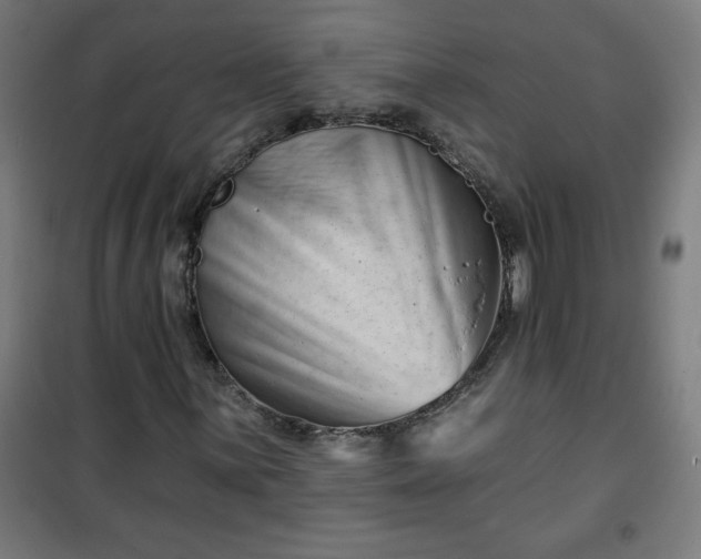 X0000100751059200807031331