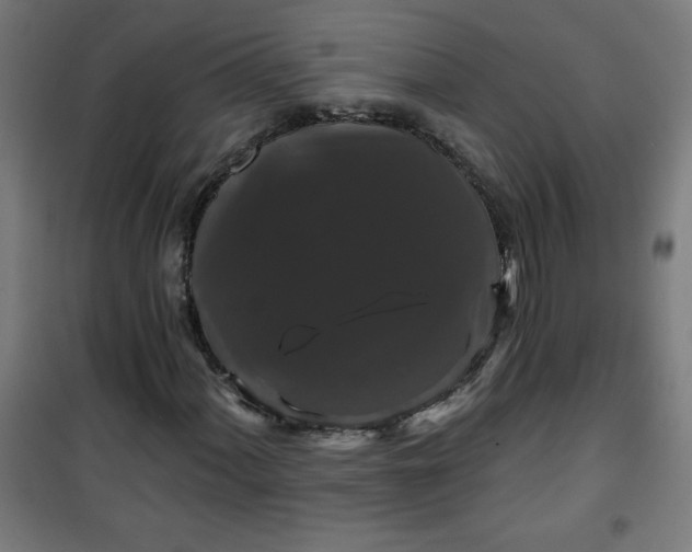 X0000100751060200807031330