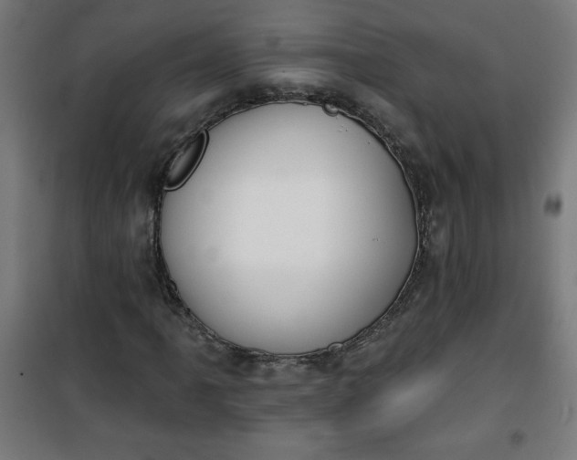 X0000100751061200807031330