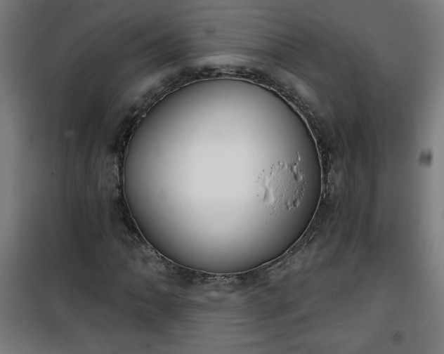 X0000100751062200807031330