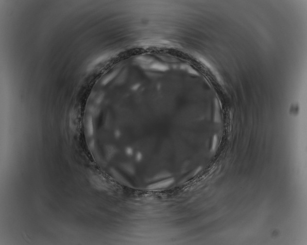 X0000100751063200807031330