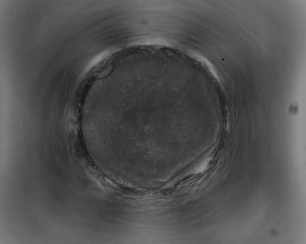 X0000100751064200807031330