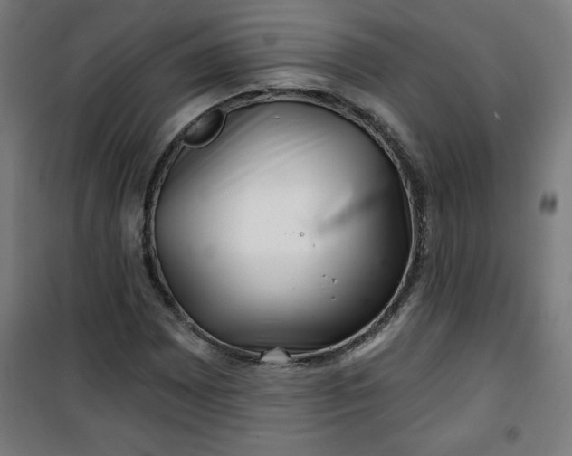 X0000100751065200807031330