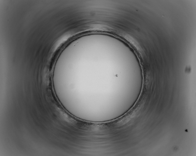 X0000100751067200807031330