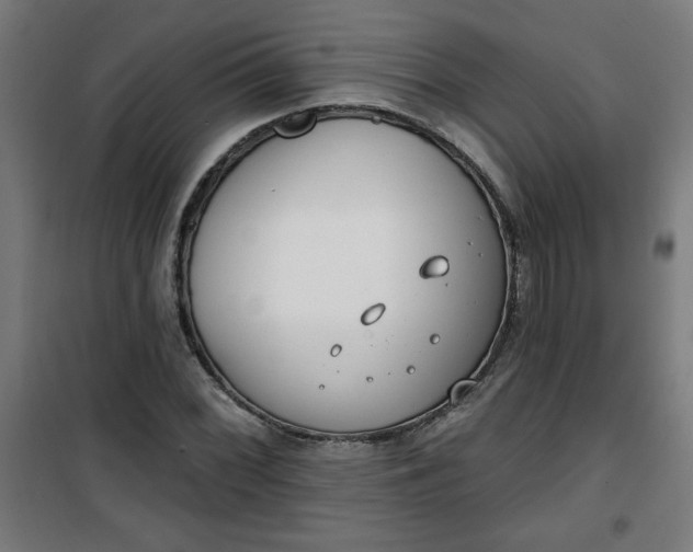 X0000100751068200807031330