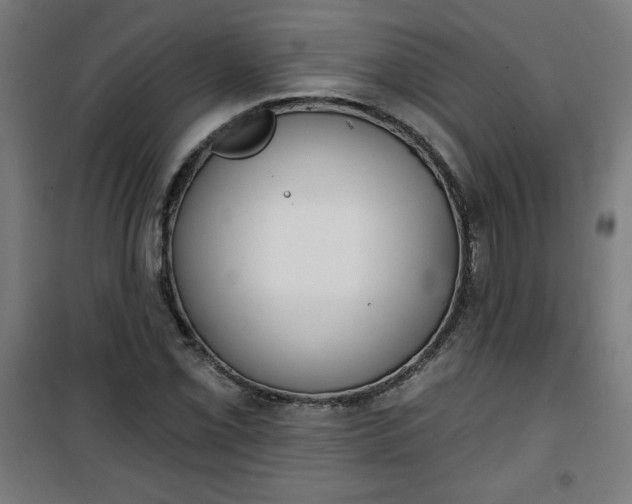 X0000100751069200807031330