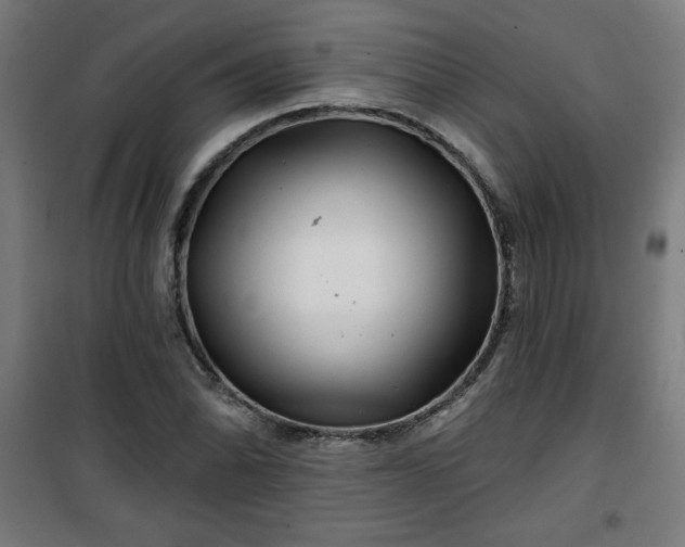 X0000100751070200807031330