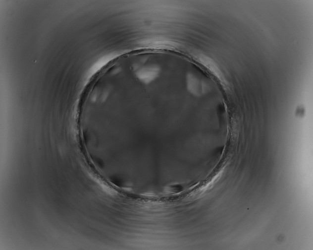 X0000100751071200807031330