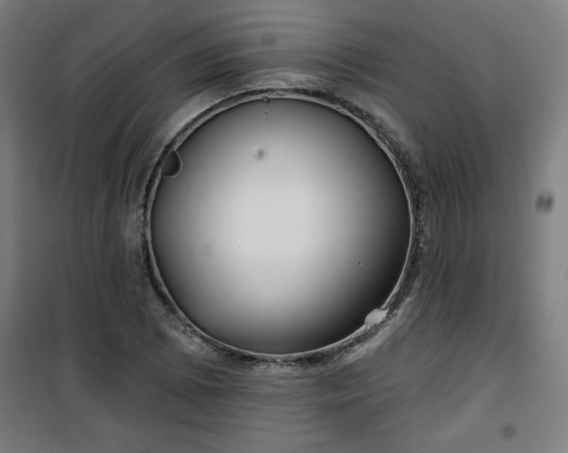 X0000100751073200807031330