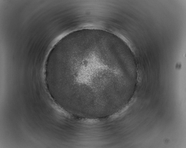 X0000100751074200807031330