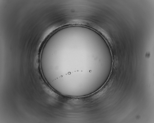 X0000100751075200807031330