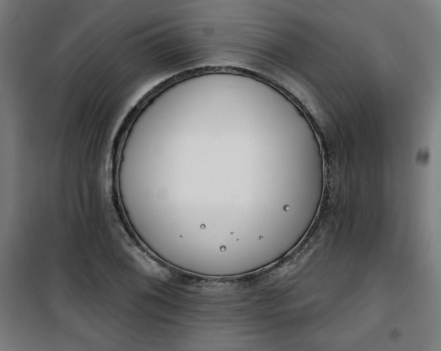 X0000100751076200807031330