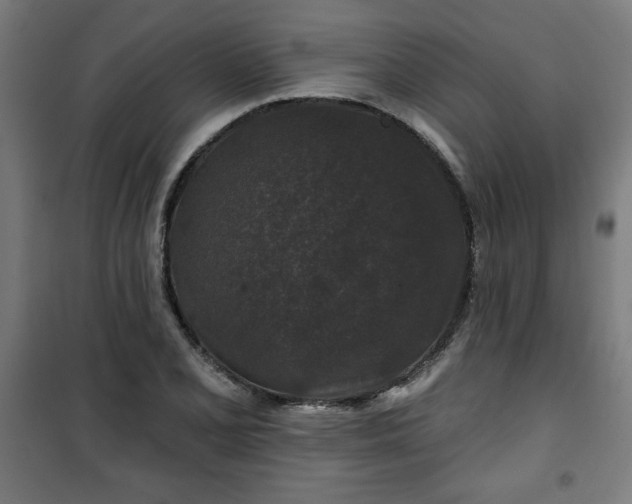 X0000100751077200807031330