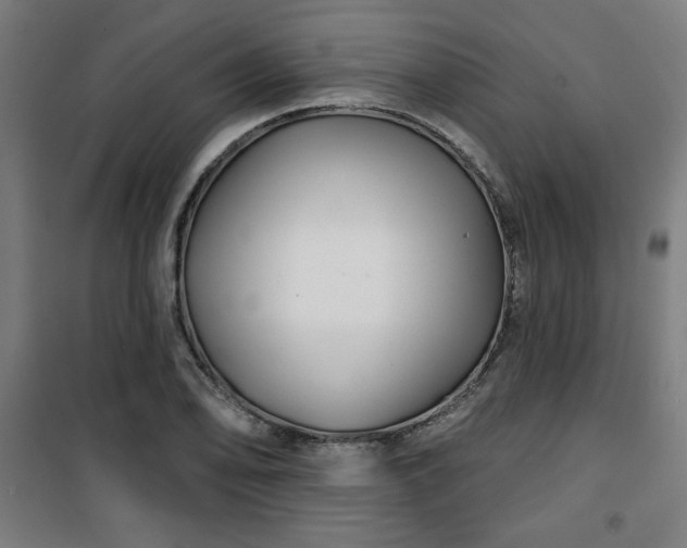 X0000100751078200807031330