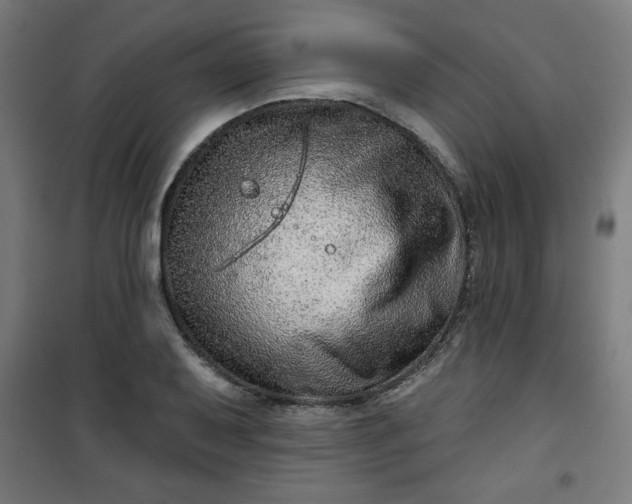 X0000100751079200807031330