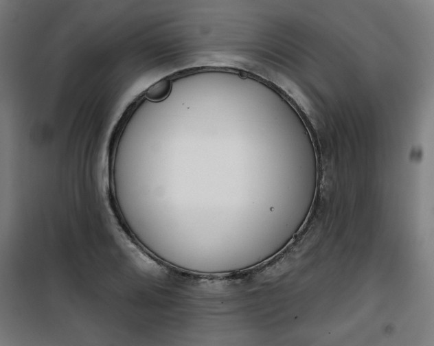 X0000100751080200807031330