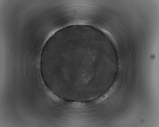 X0000100751081200807031330