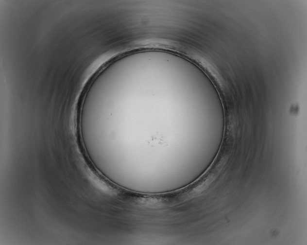 X0000100751082200807031330