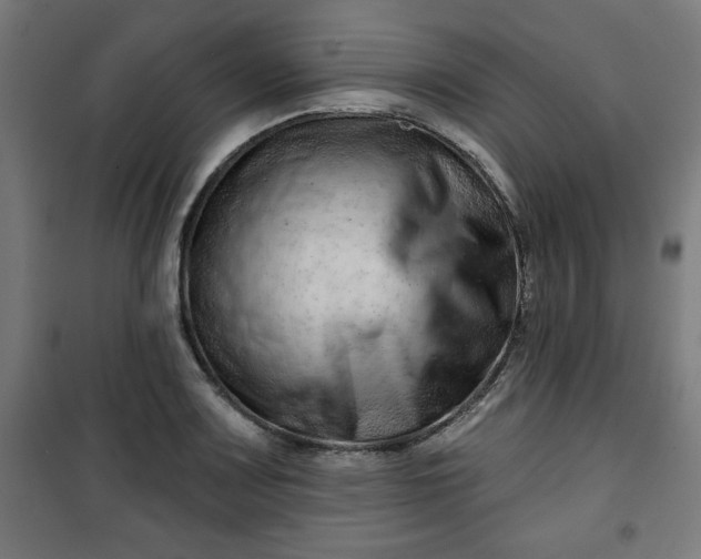 X0000100751083200807031330