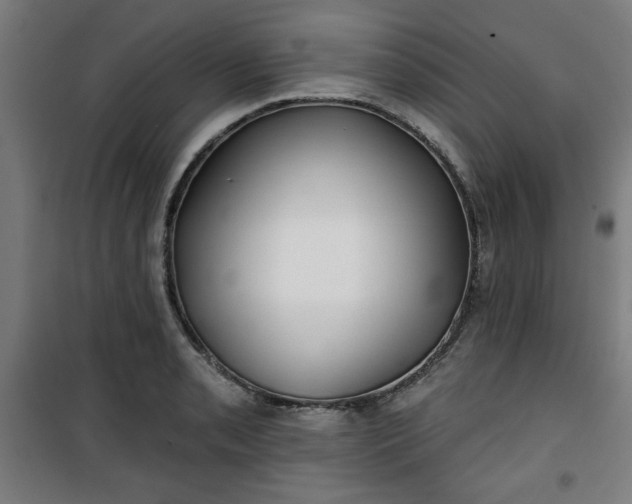 X0000100751085200807031330