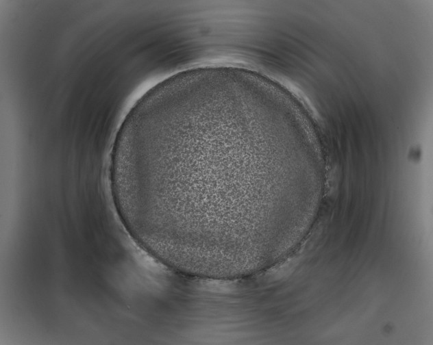 X0000100751086200807031330