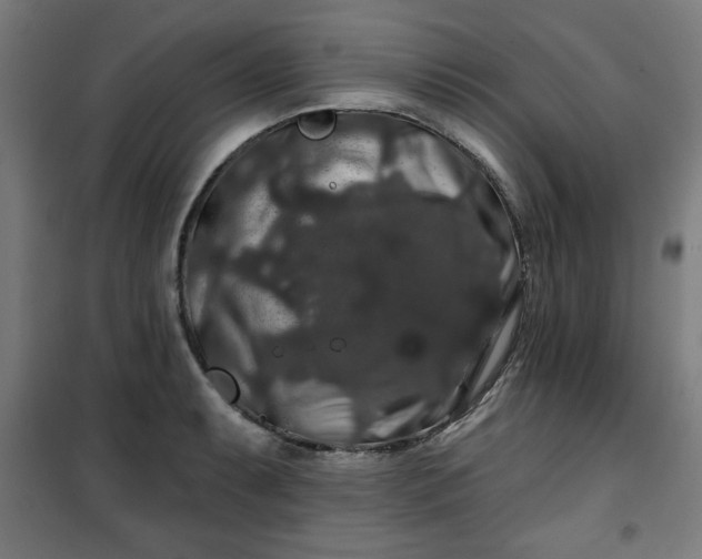 X0000100751087200807031330